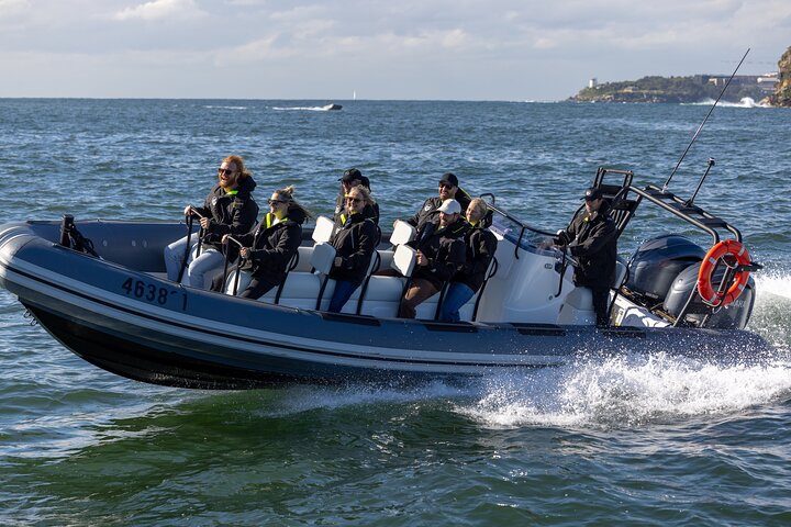 Sydney Whale Watching on Small RIB