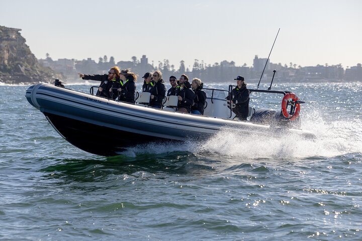 Sydney Whale Watching on Small RIB