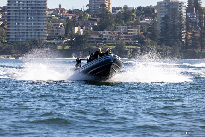 Sydney Whale Watching on Small RIB