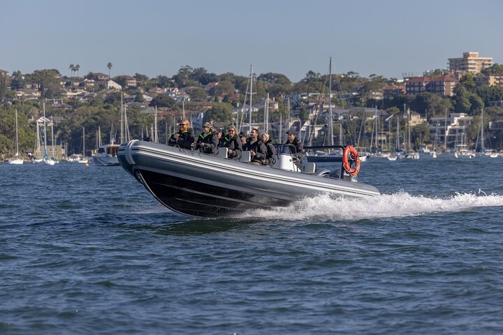 Sydney Whale Watching on Small RIB