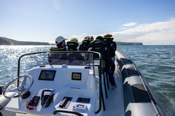 Sydney Whale Watching on Small RIB