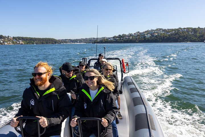 Sydney Whale Watching on Small RIB