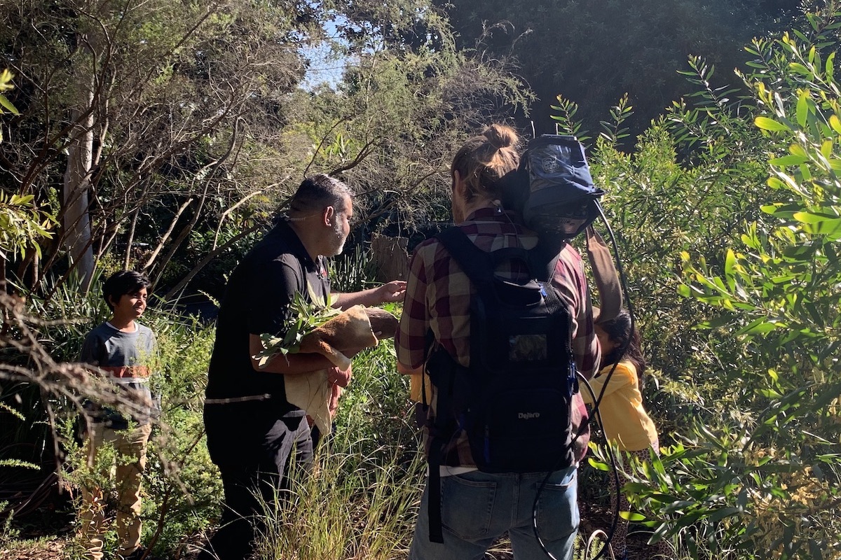 Bush Foods Tour with Morning Tea