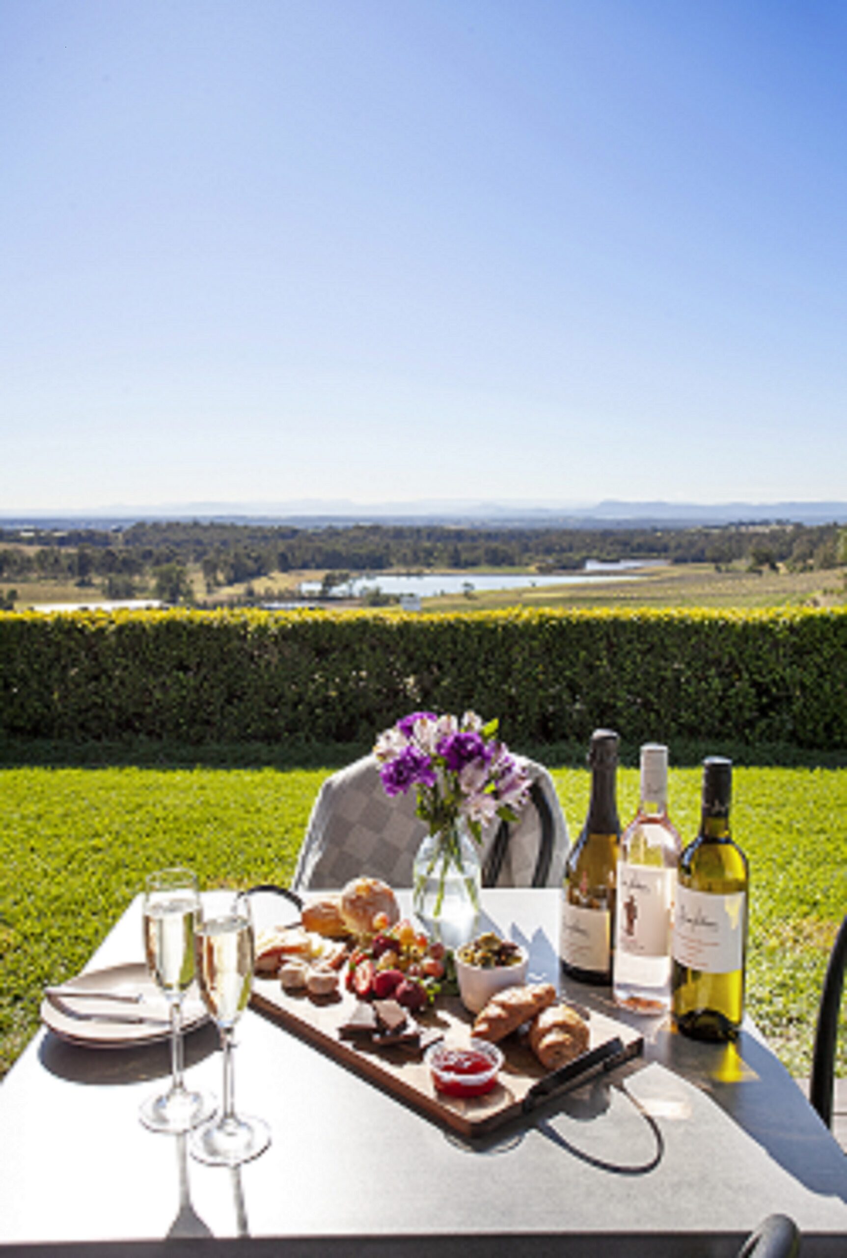 Sparkling Brunch in the Vines