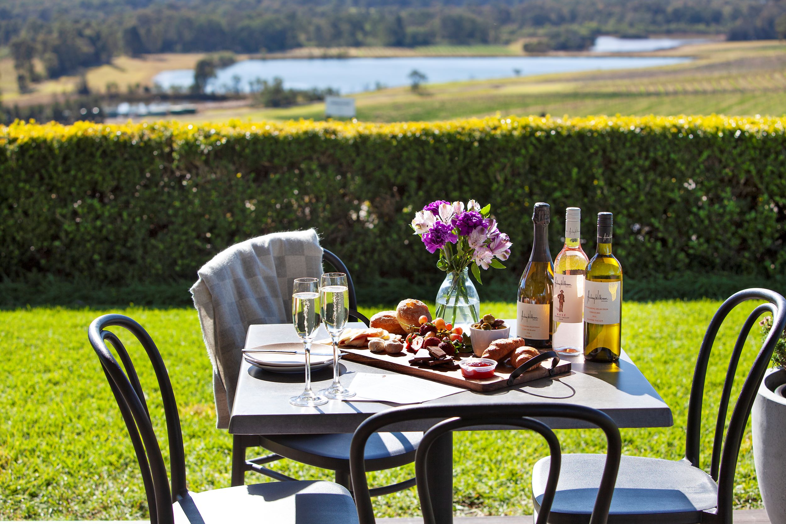 Sparkling Brunch in the Vines