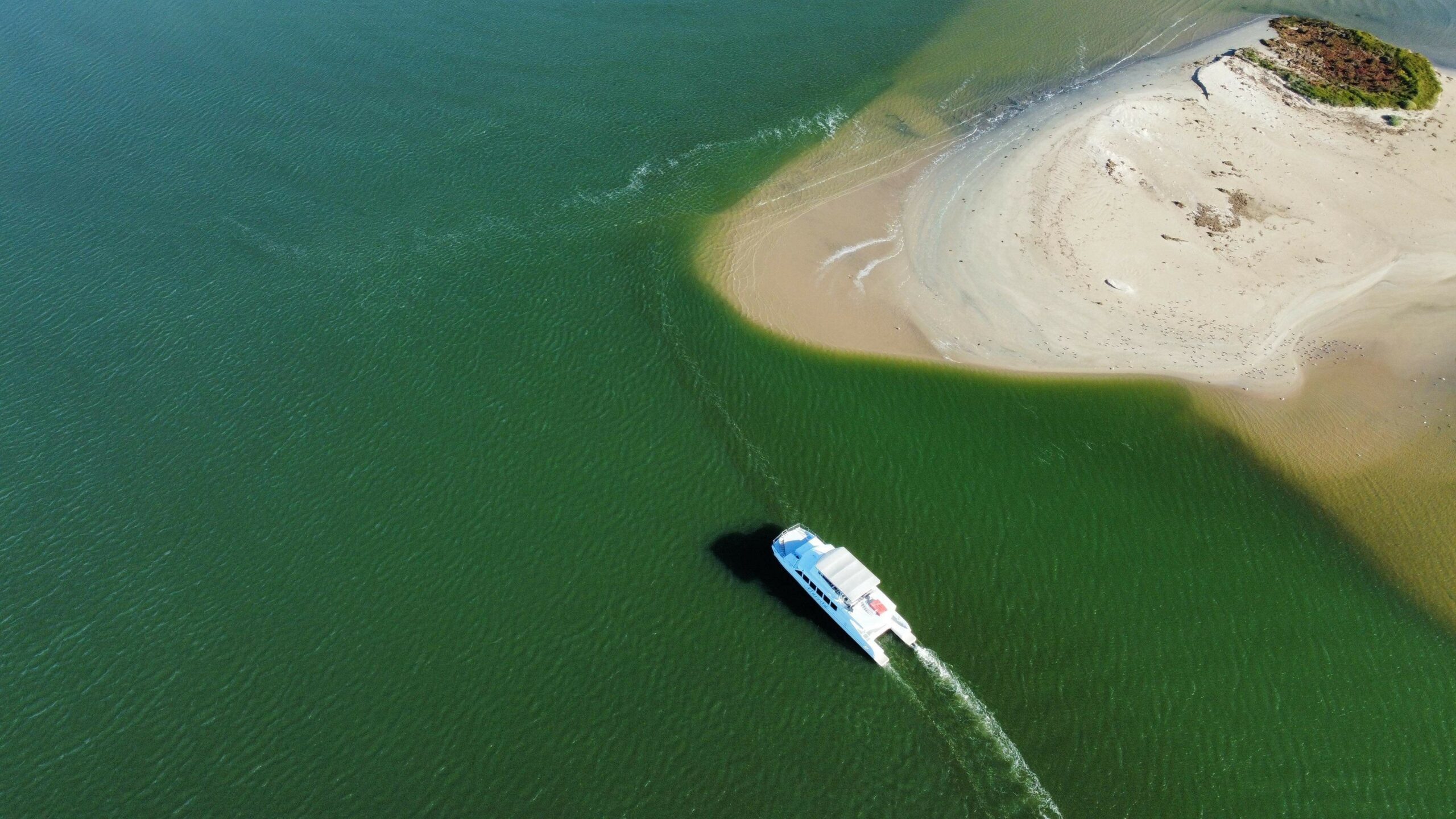 Murray Mouth Cruise