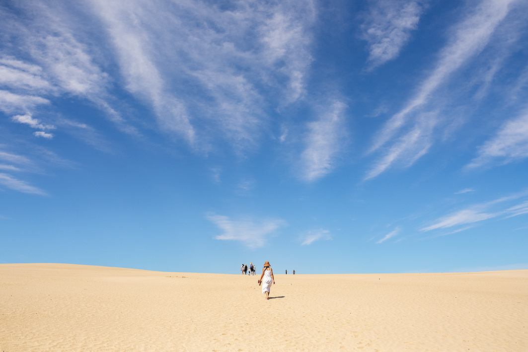 Full-Day Coorong Experience