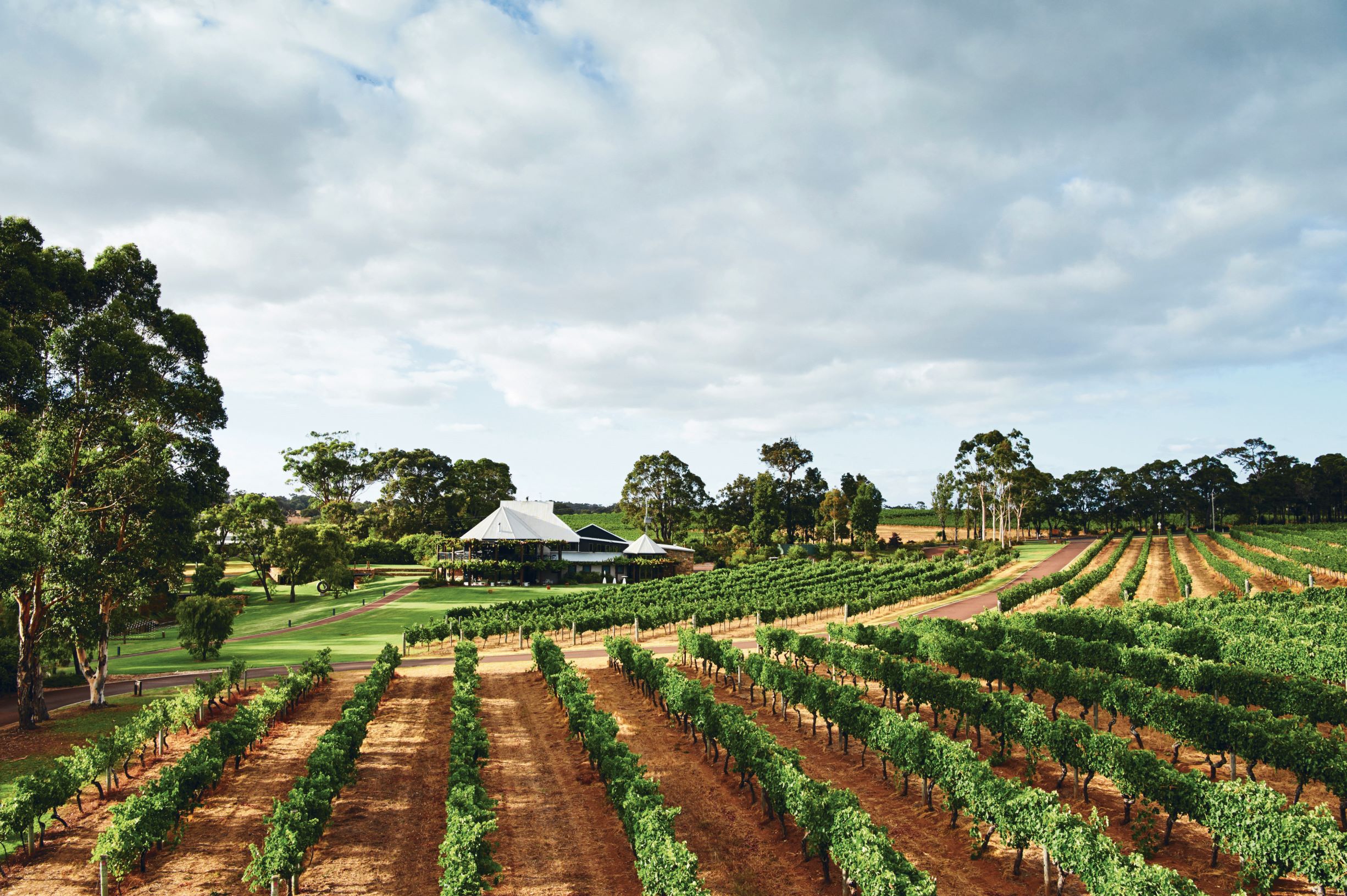 Margaret River Platinum Tour