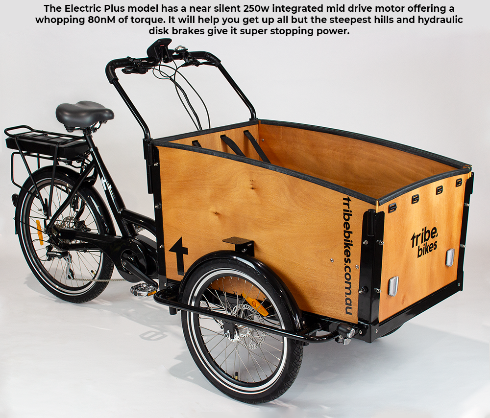 Electric Cargo Trike (Adult/Accessibility) Pickup Murwillumbah Railway Station