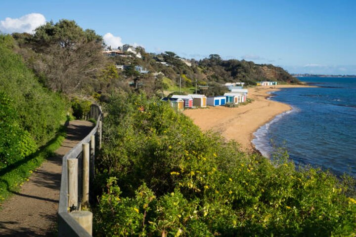 Mornington Peninsula Highlights Private Day Tour 2-6 guests