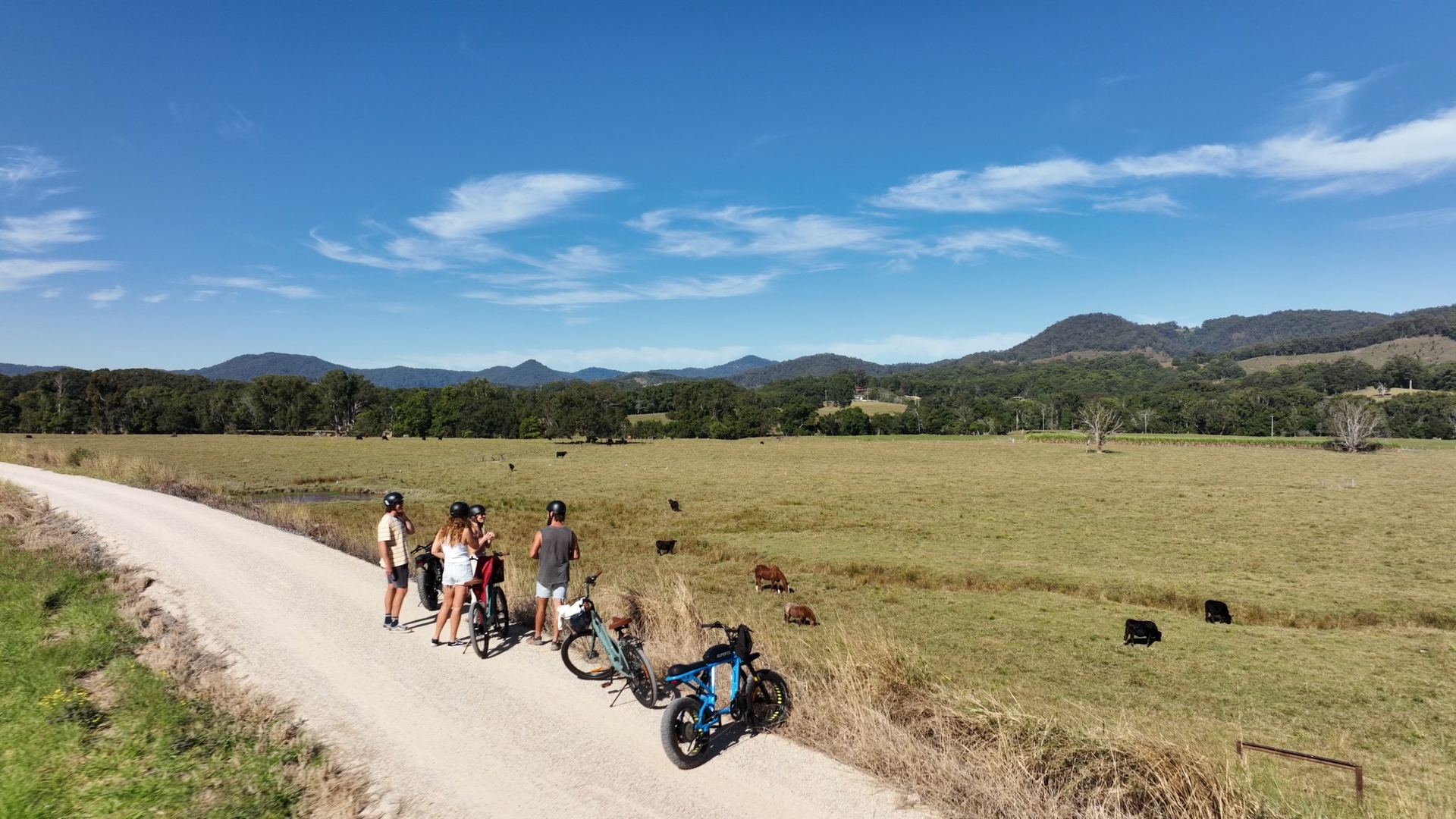 Electric Cargo Bike (Adult) Pickup Murwillumbah Railway Station