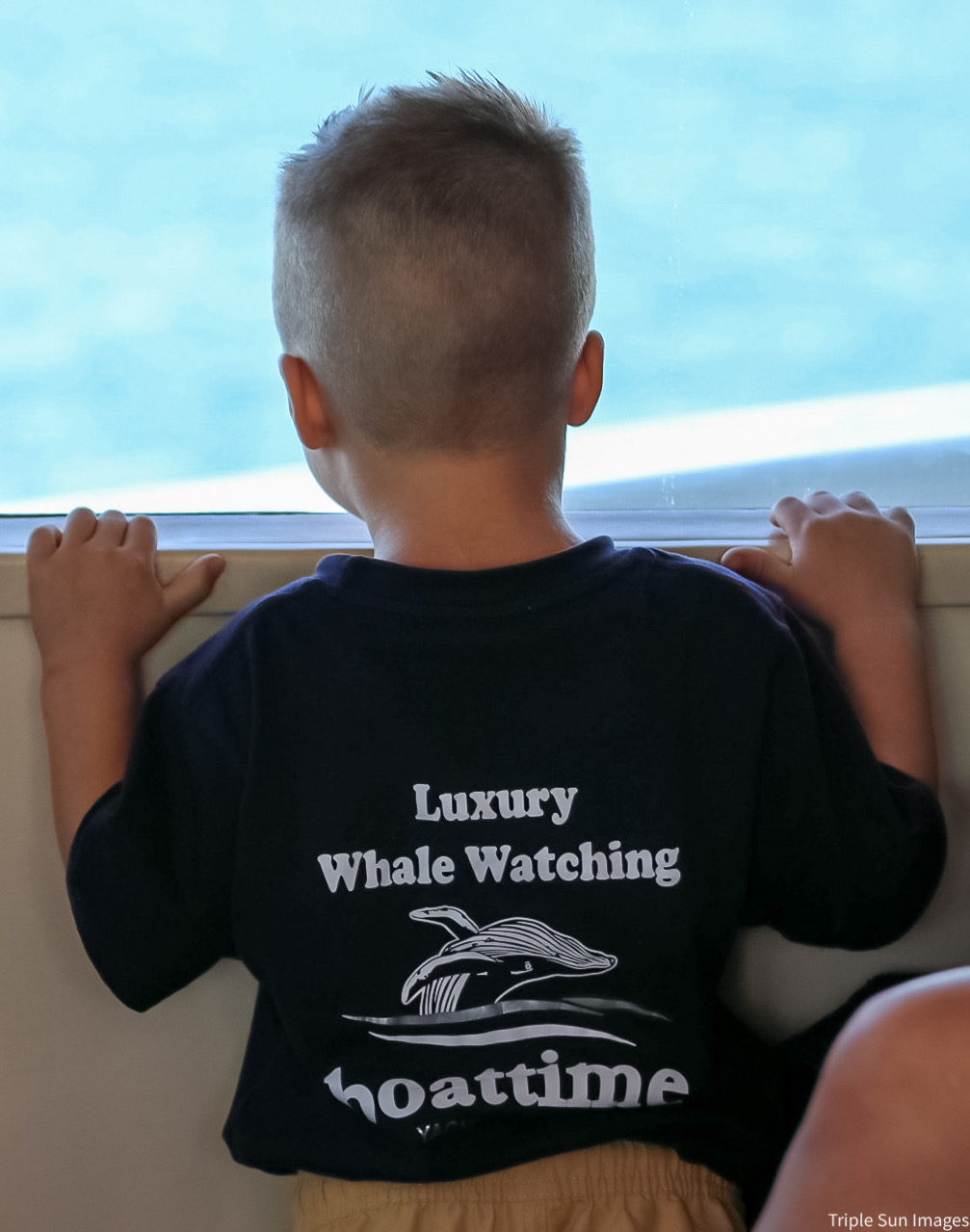 (AGENTS) Luxury Whale Watching Experience