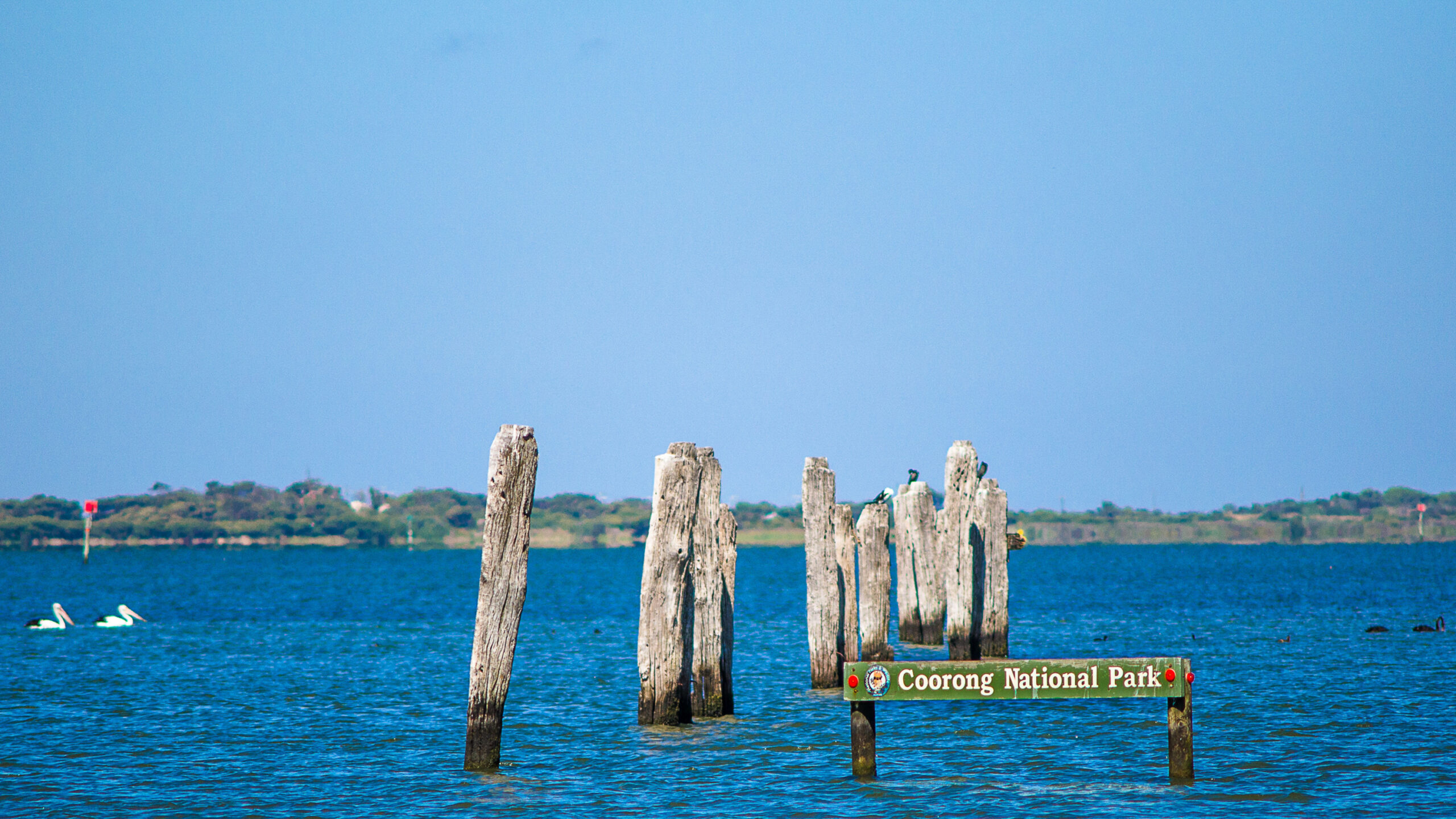 Murray Mouth Cruise