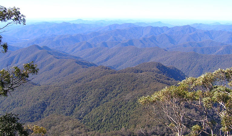 Summit to Sea - NEW ENGLAND WILDERNESS WALK - EIGHT DAYS -  Includes Meals & Transfers