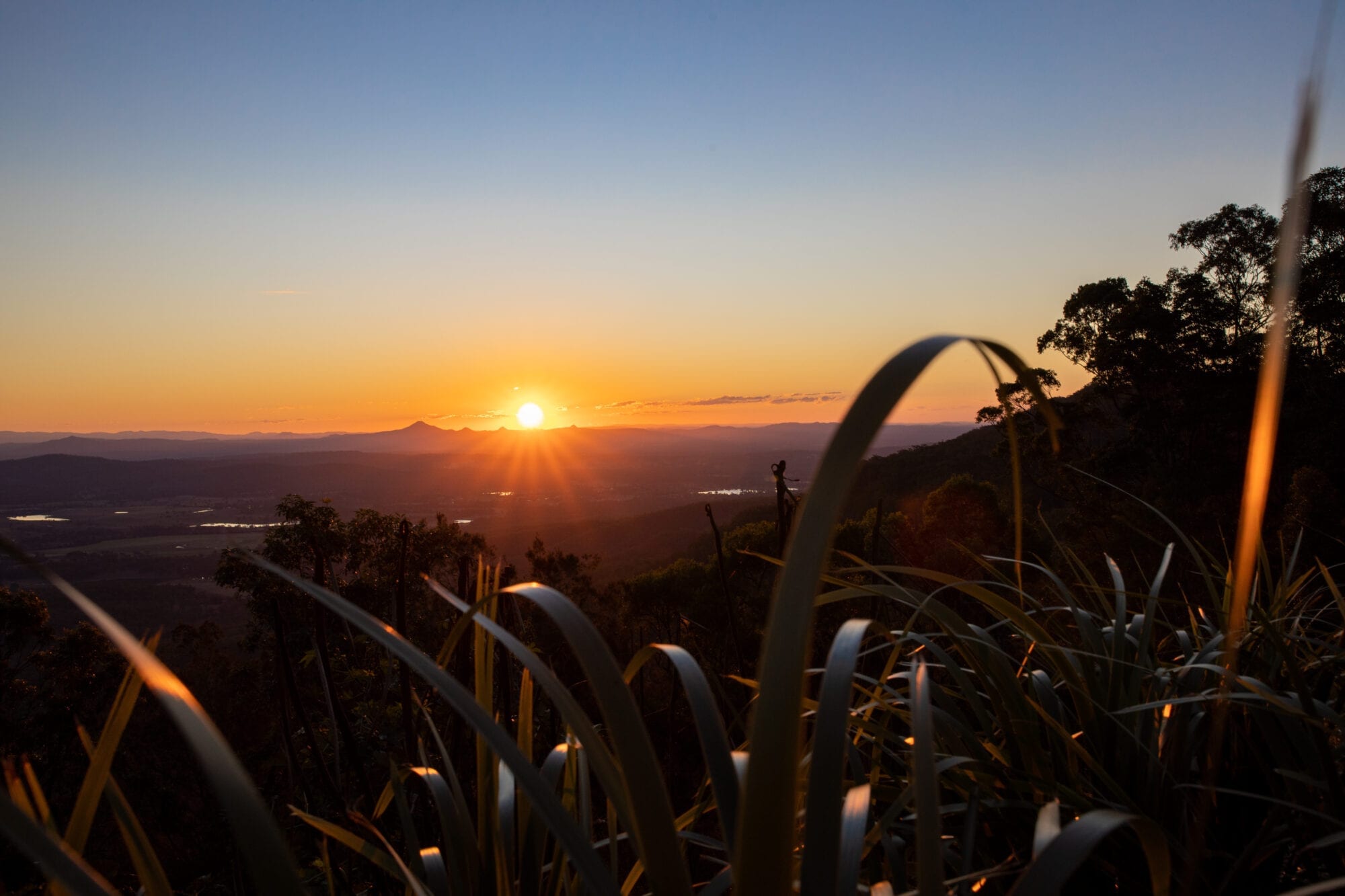 Groups - Tamborine Mountain Rainforest Skywalk + Glow Worm Cave Tour + Waterfalls or Shopping