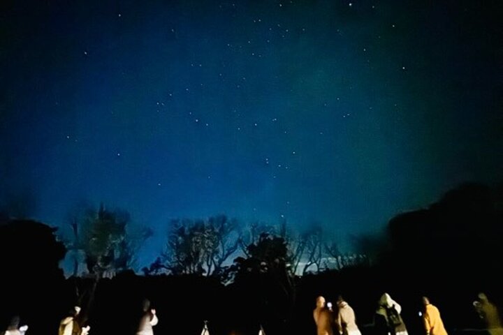 Tamborine Mountain Attractions and Stargazing Tour