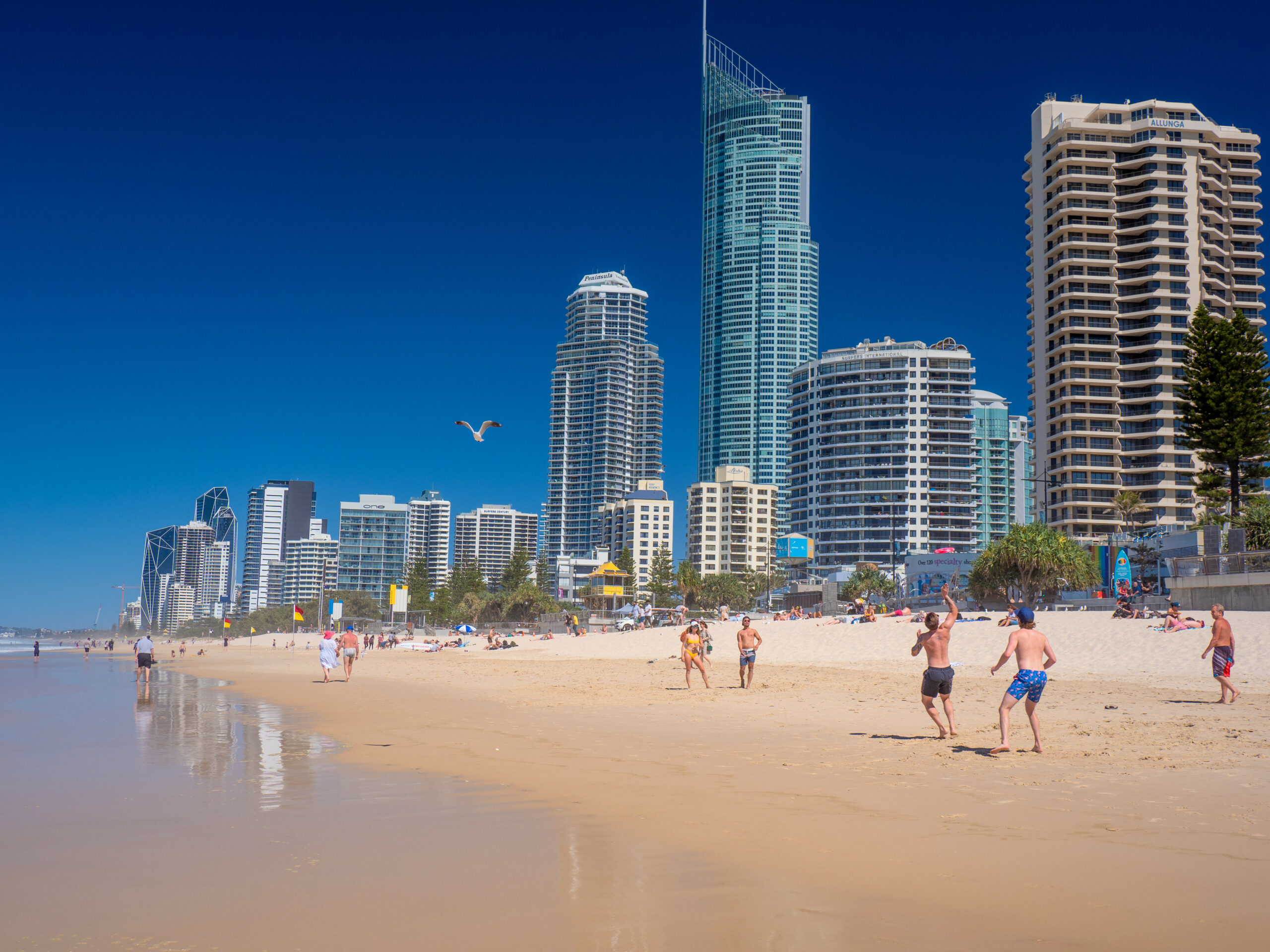 Surfers Paradise Twilight Tour