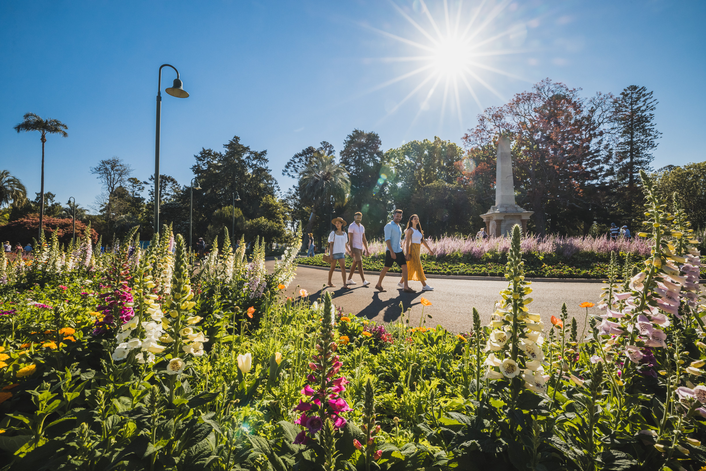 【NEW】Toowoomba Carnival of Flowers - Stunning Gardens and Colorful Displays!