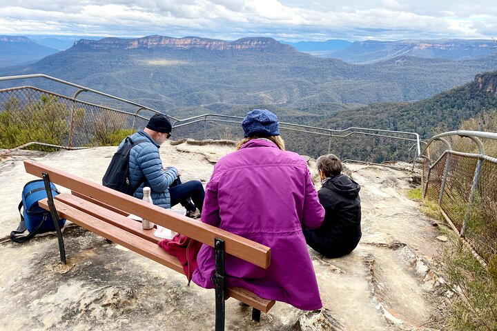 Wild Kangaroos, Blue Mountains and a Cruise