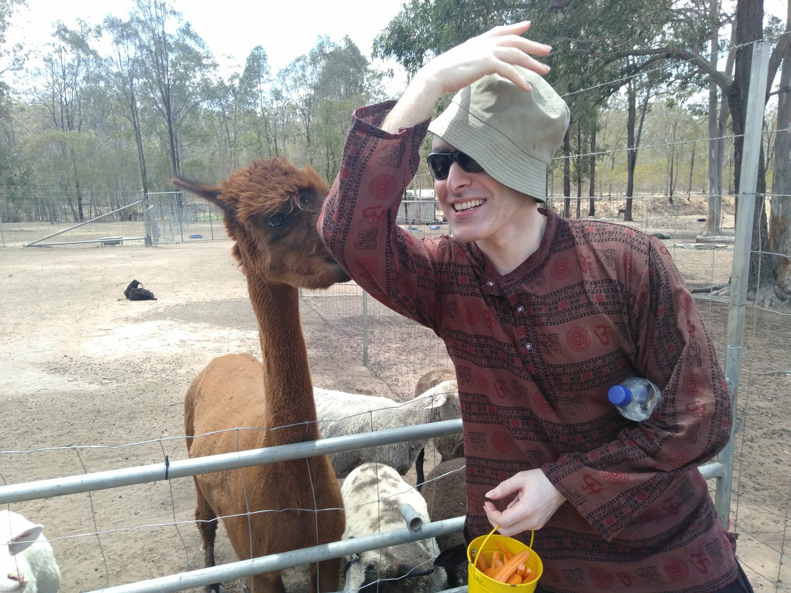 Half Day Alpacas Farm Tour