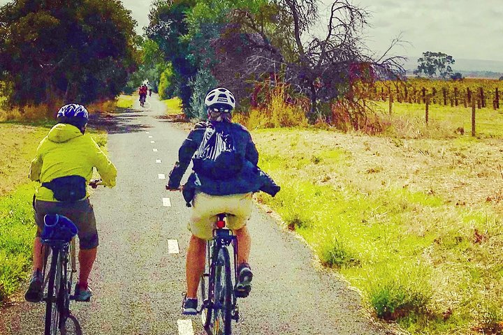 McLaren Vale Shiraz Trail Cycling Tour from Adelaide