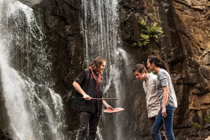 Private Day Trip to Nature's Wonderland Grampians Grandeur