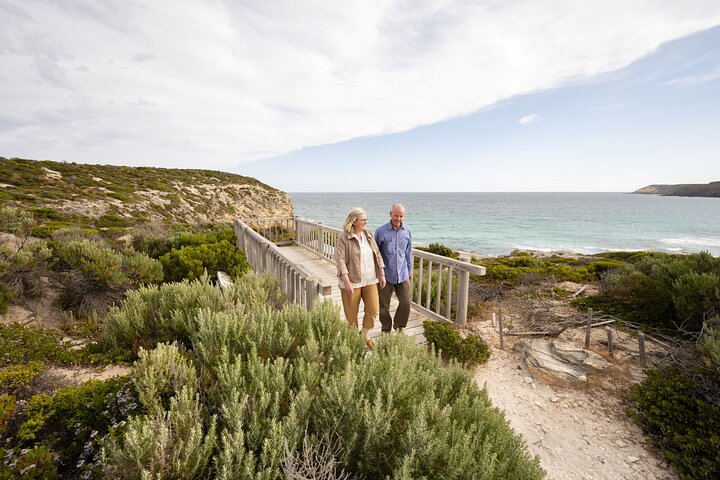 McLaren Vale Shiraz Trail Cycling Tour from Adelaide