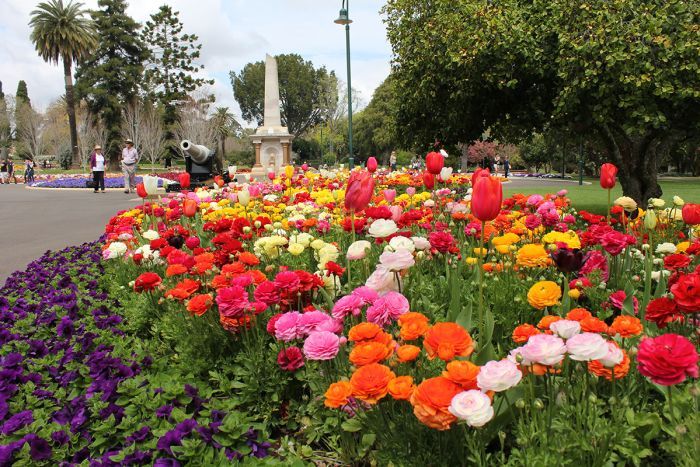 【13 Sept - 7 Oct】Toowoomba Carnival of Flowers Day Tour