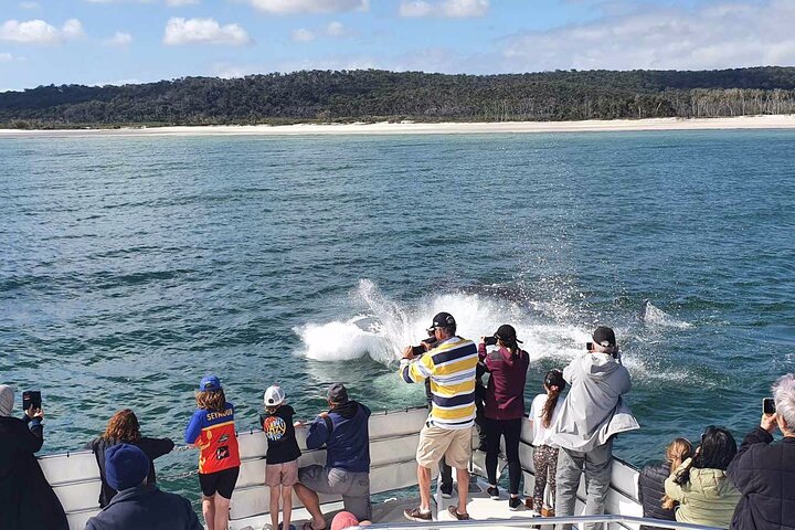 Half-Day K'gari Island Cruise Tour with Whale Search and Lunch