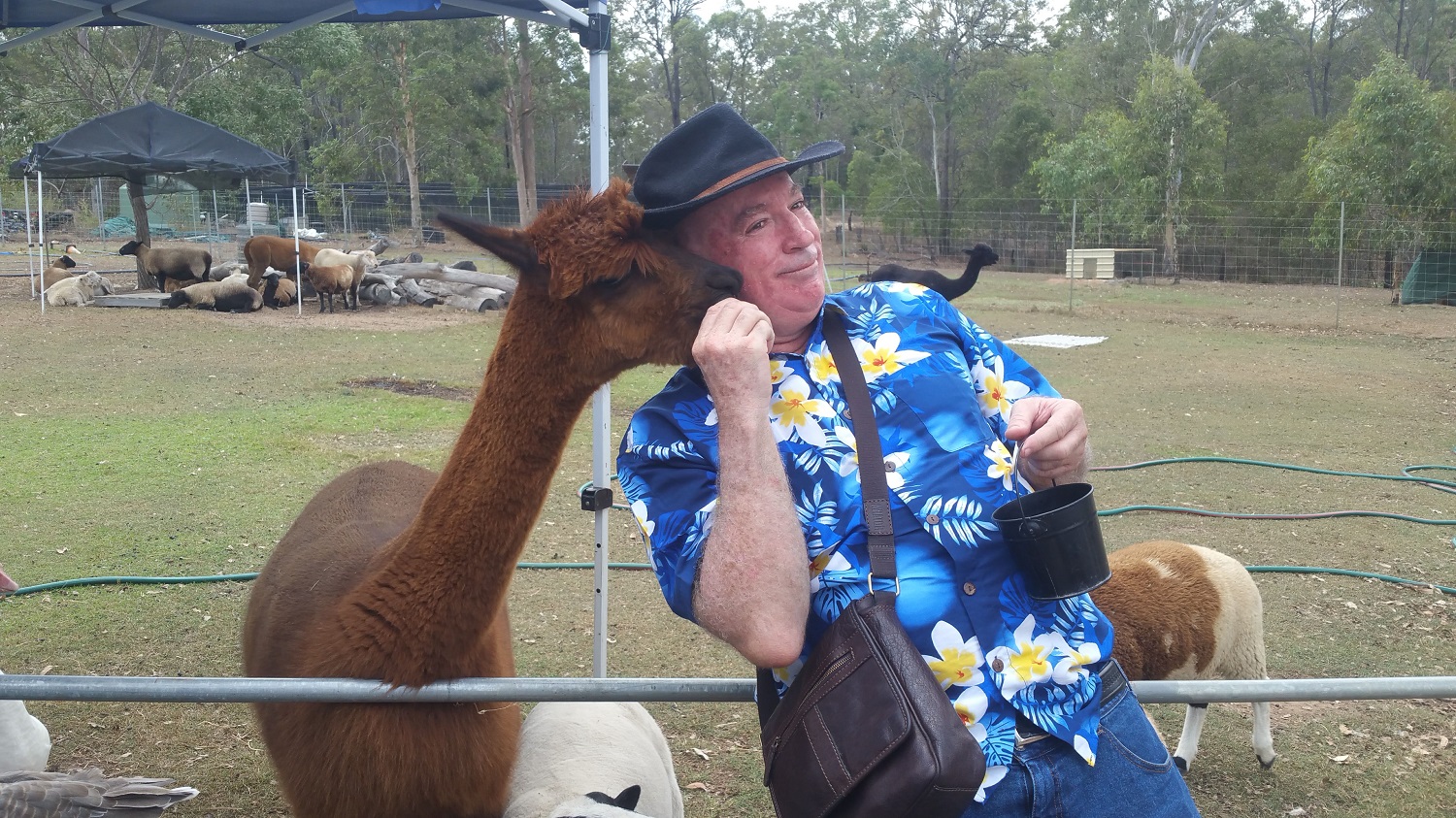 Half Day Alpacas Farm Tour