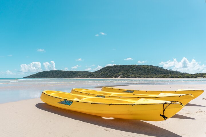 Noosa Whale Watching with Ocean Kayaking and Beach 4X4 Tour