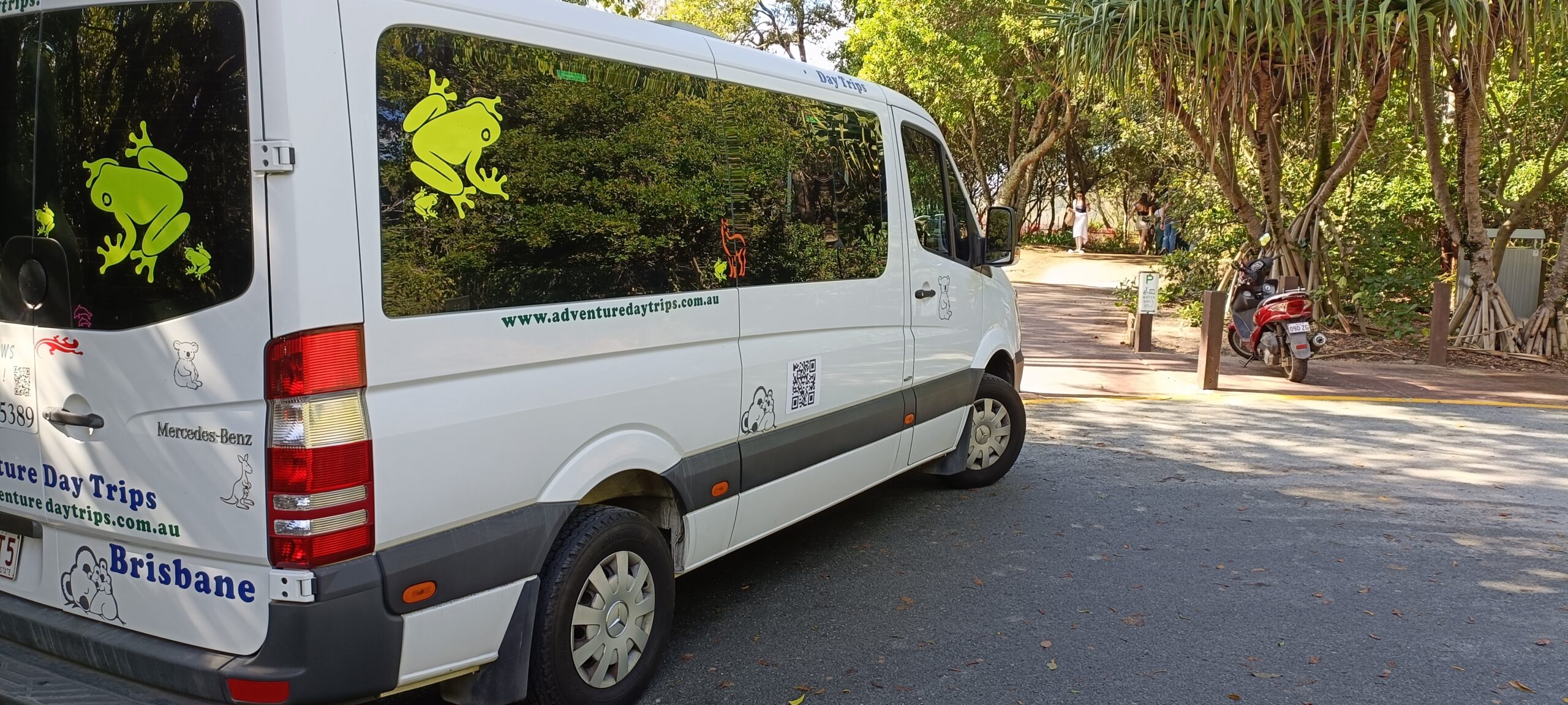 Surfers Paradise Twilight Tour