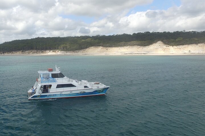 Half-Day K'gari Island Cruise Tour with Whale Search and Lunch