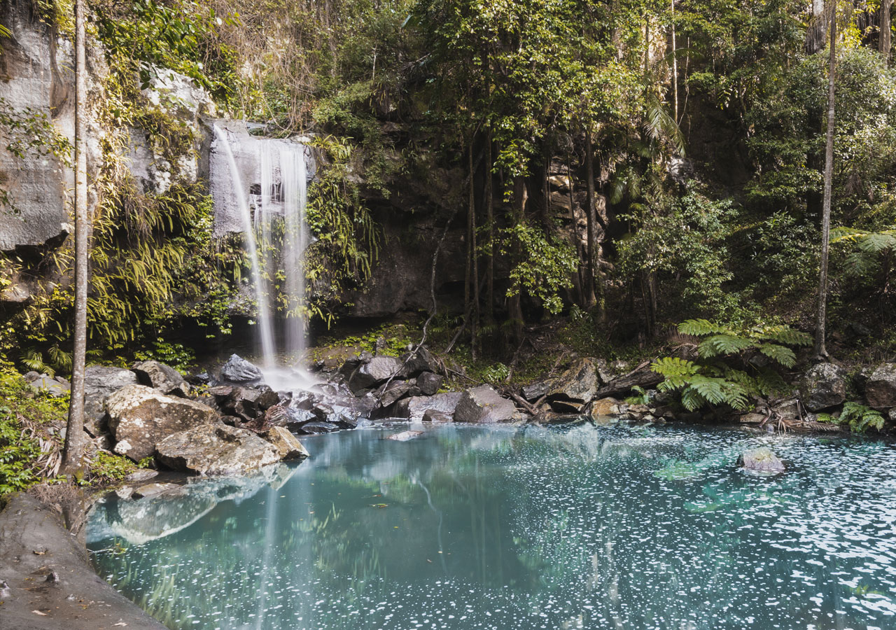 Groups - Tamborine Mountain Rainforest Skywalk + Glow Worm Cave Tour + Waterfalls or Shopping