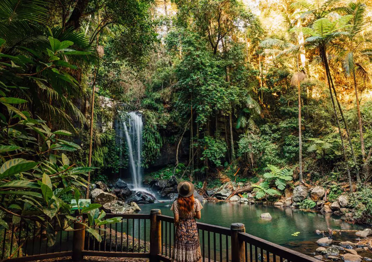 Groups - Tamborine Mountain Rainforest Skywalk + Glow Worm Cave Tour + Waterfalls or Shopping