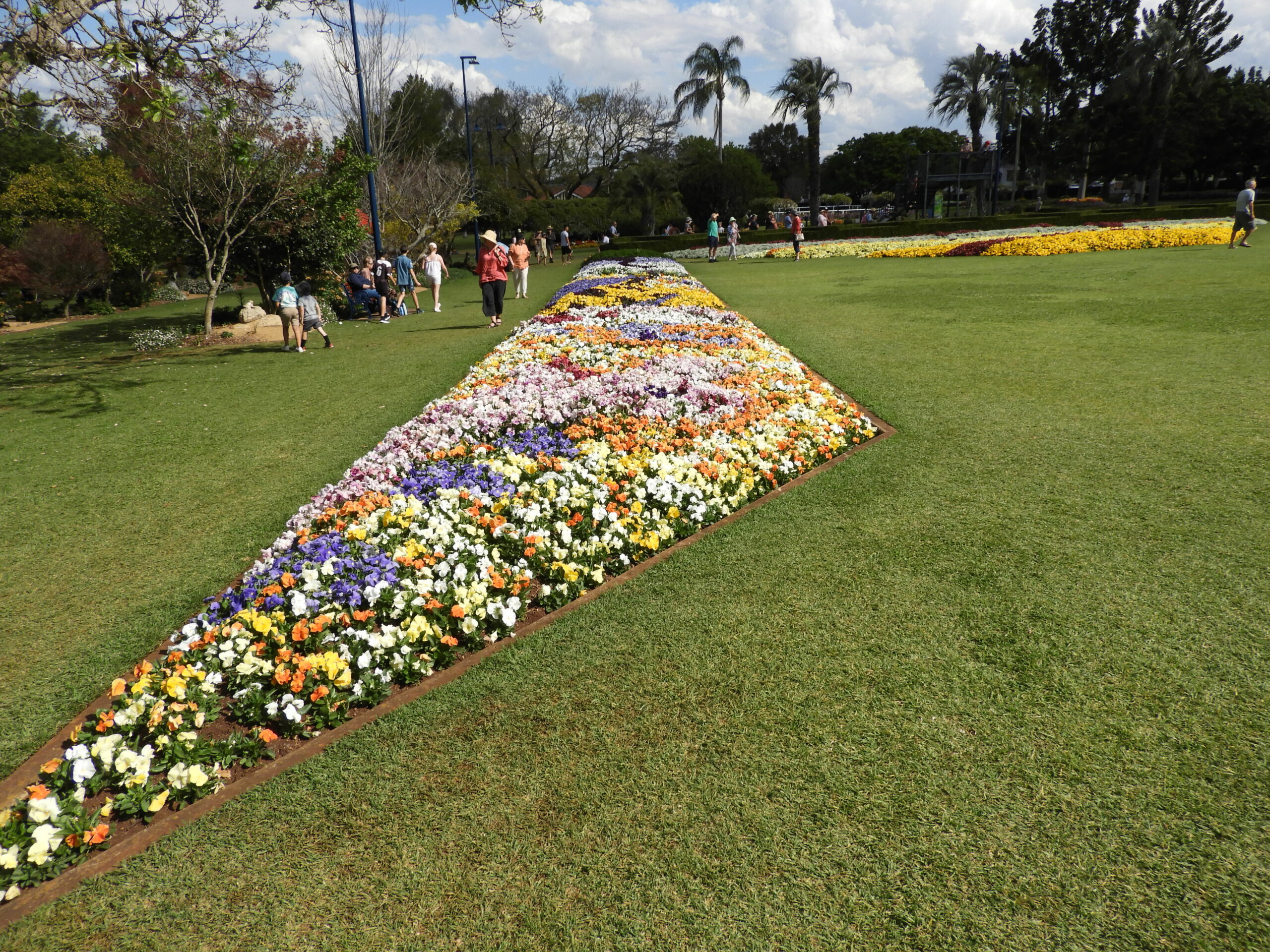 【13 Sept - 7 Oct】Toowoomba Carnival of Flowers Day Tour