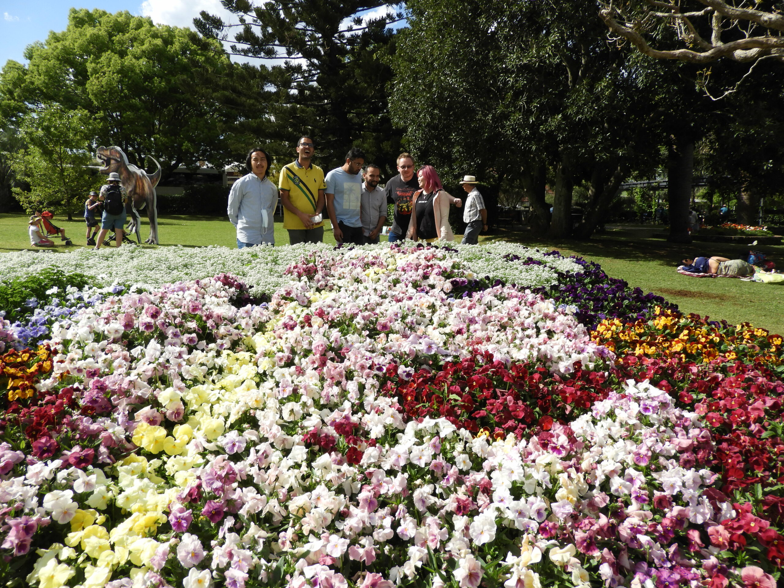 【13 Sept - 7 Oct】Toowoomba Carnival of Flowers Day Tour