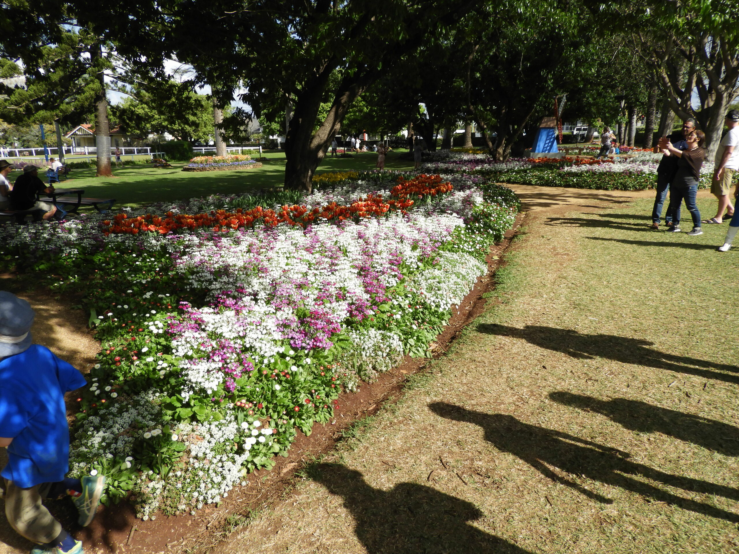 【13 Sept - 7 Oct】Toowoomba Carnival of Flowers Day Tour