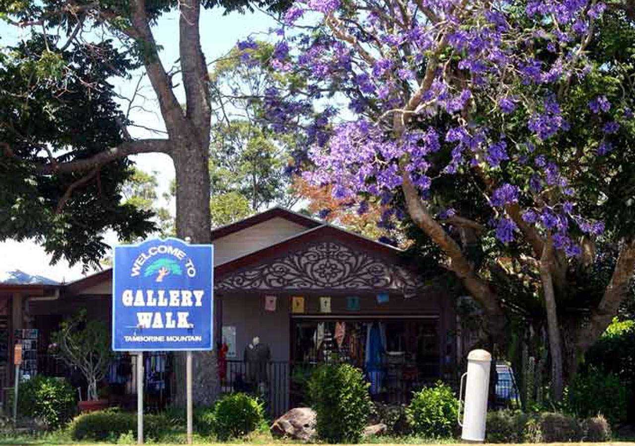 Groups - Tamborine Mountain Rainforest Skywalk + Glow Worm Cave Tour + Waterfalls or Shopping