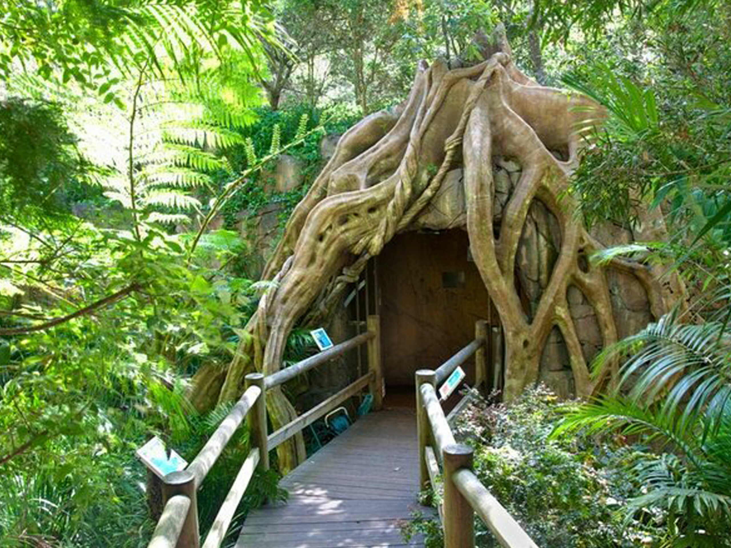 Groups - Tamborine Mountain Rainforest Skywalk + Glow Worm Cave Tour + Waterfalls or Shopping