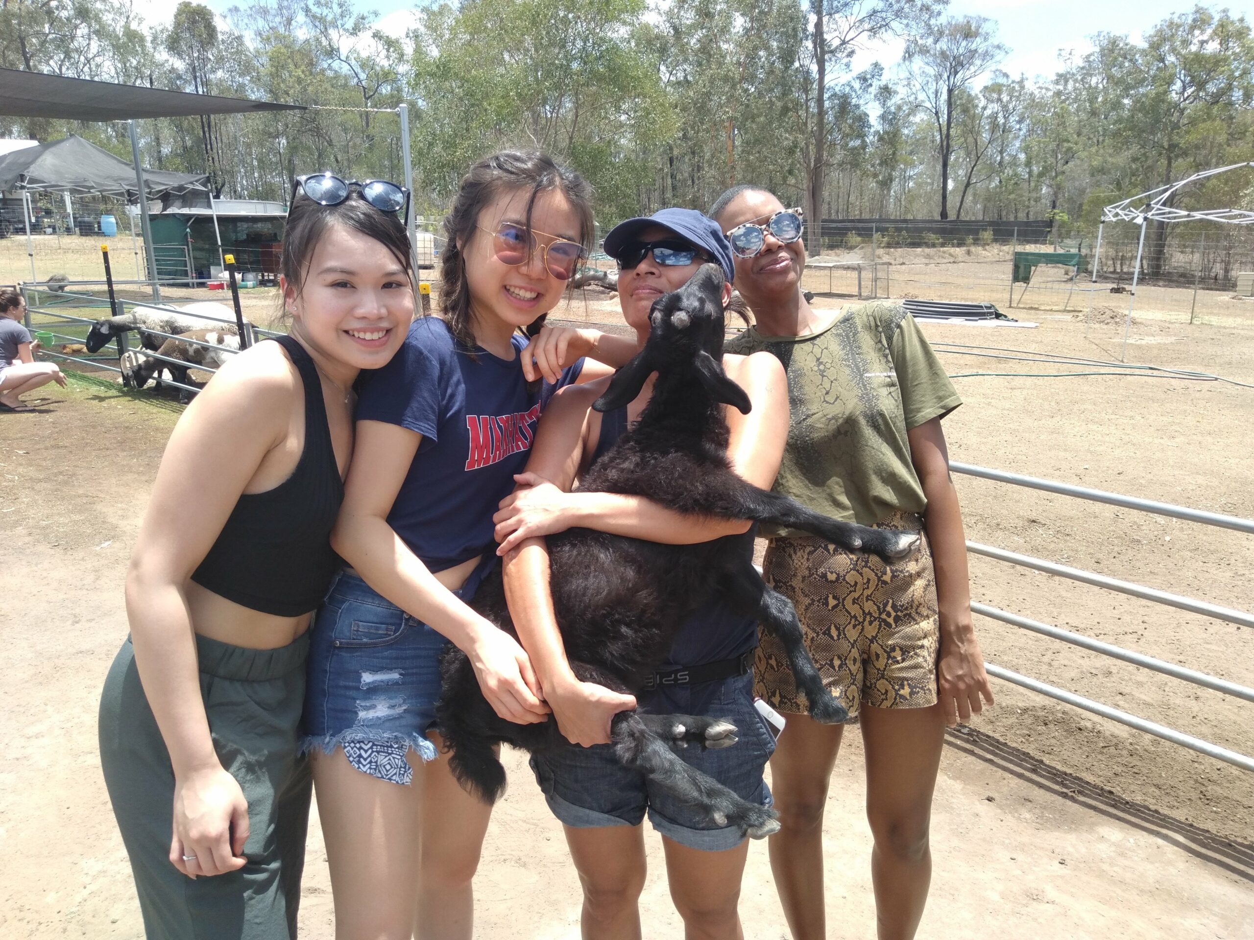 Half Day Alpacas Farm Tour