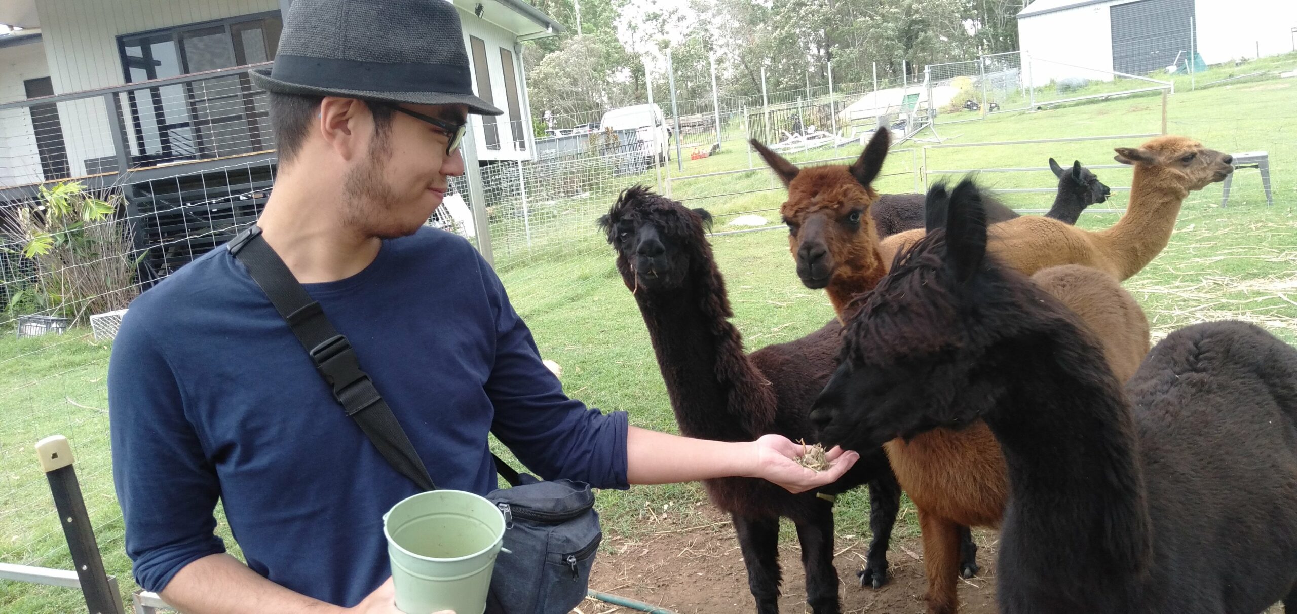 Half Day Alpacas Farm Tour