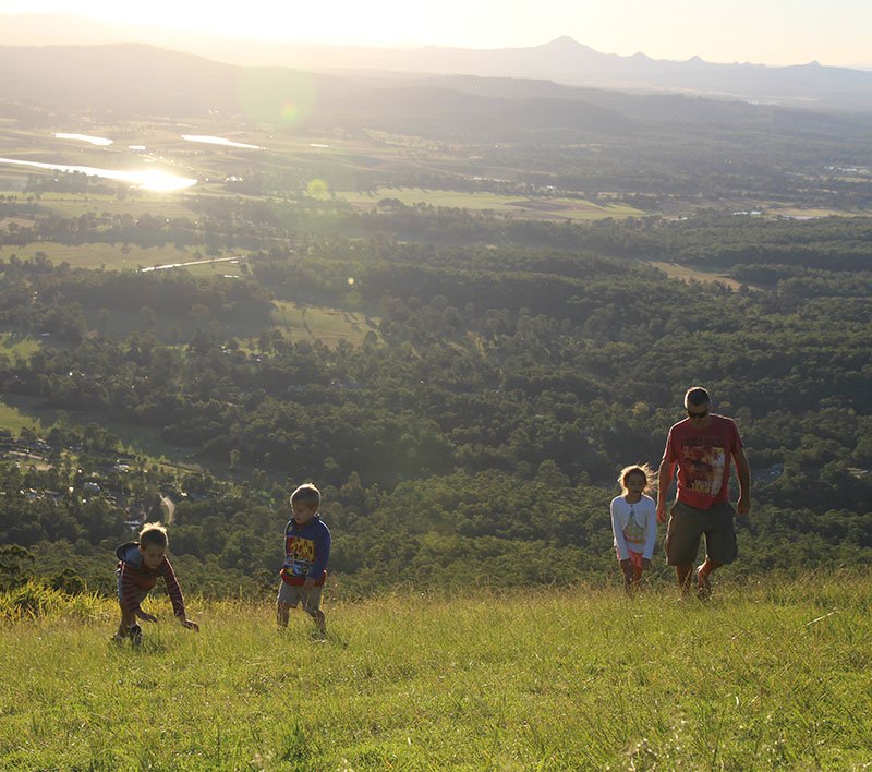 Groups - Tamborine Mountain Rainforest Skywalk + Glow Worm Cave Tour + Waterfalls or Shopping