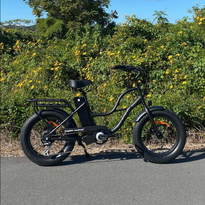 Small Adult/Teen E-Bike – Fat Tyre Freedom Machine