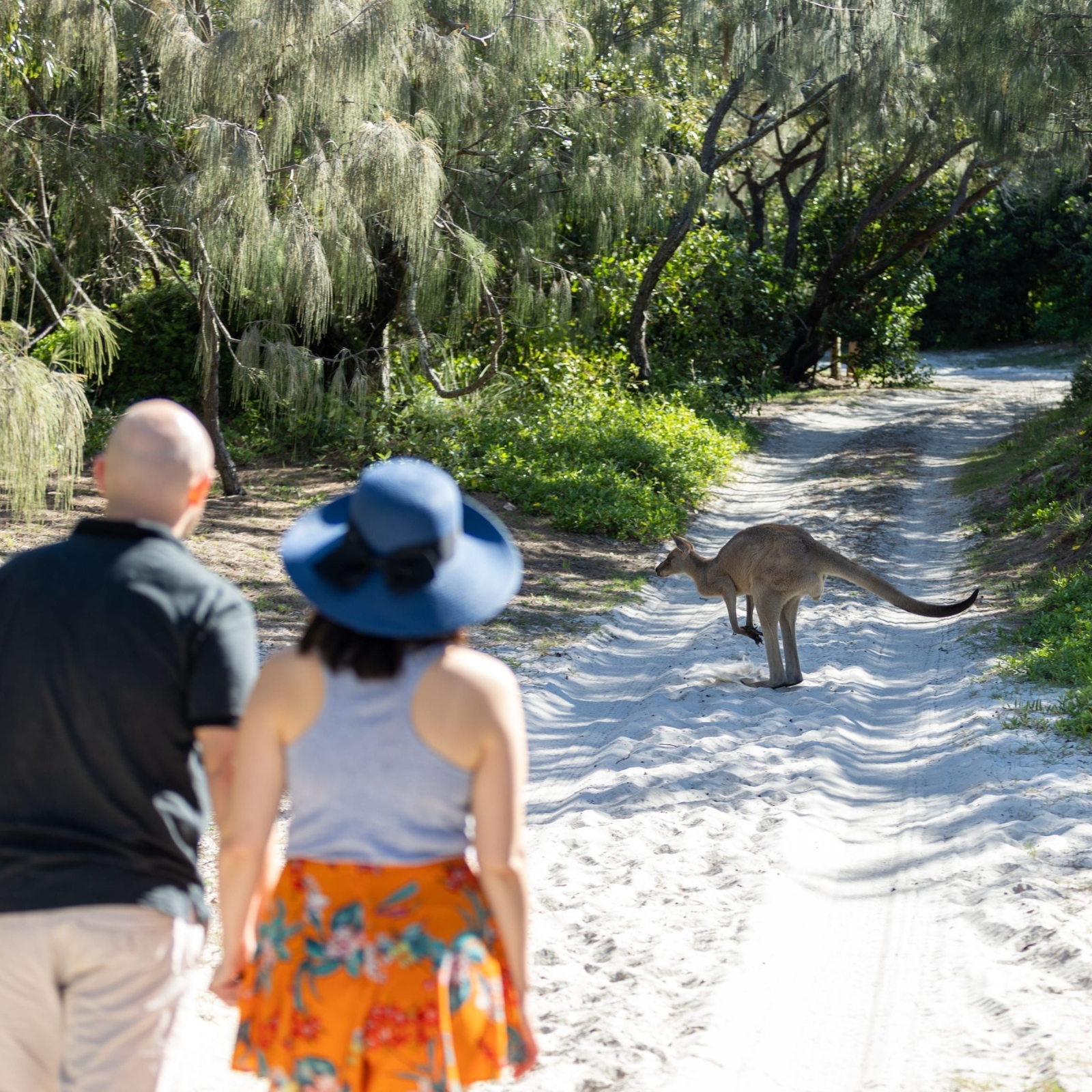 Sunset Serenity - Bribie Island Swim & Scenic Sunset Tour