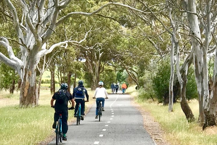 McLaren Vale Shiraz Trail Cycling Tour from Adelaide