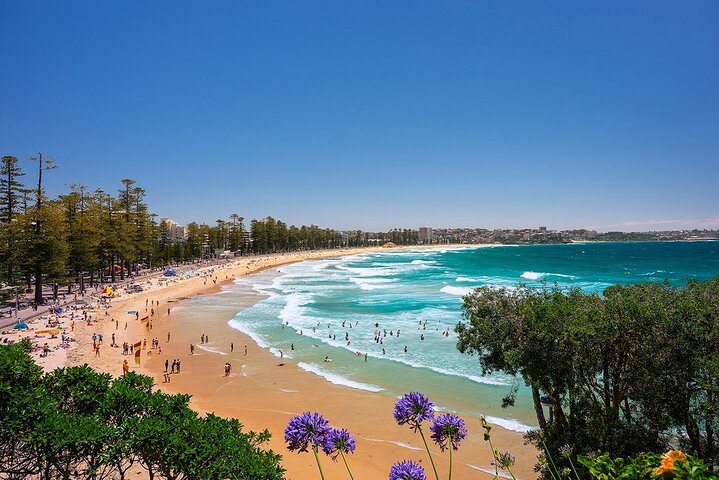 Private Tour Magical Manly Wormhole & Beaches in New South Wales