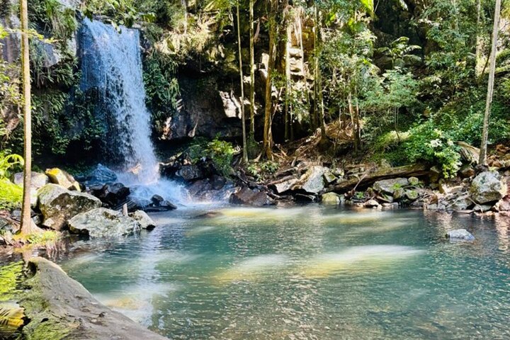 Tamborine Mountain Attractions and Stargazing Tour