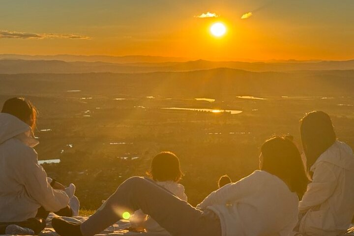 Tamborine Mountain Attractions and Stargazing Tour