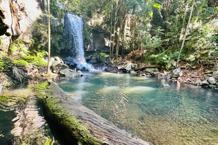 Tamborine Mountain Attractions and Stargazing Tour